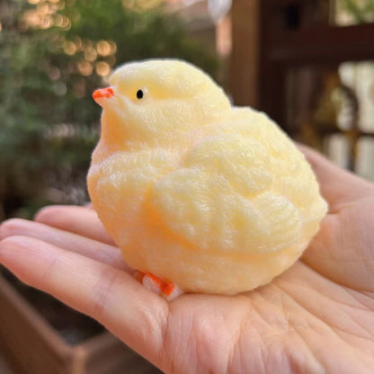 chicken squishy